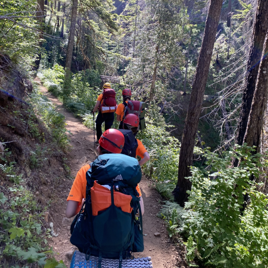Four search and rescue volunteers hike up a trail in a wooded area.