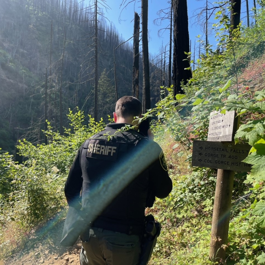 Deputy on phone near trail sign in the Columbia River Gorge.