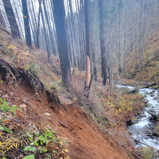 Photo of landslide on the Larch Mountain Trail