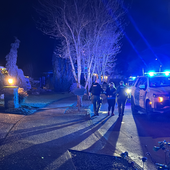 Two deputies walk woman in handcuffs to patrol car.