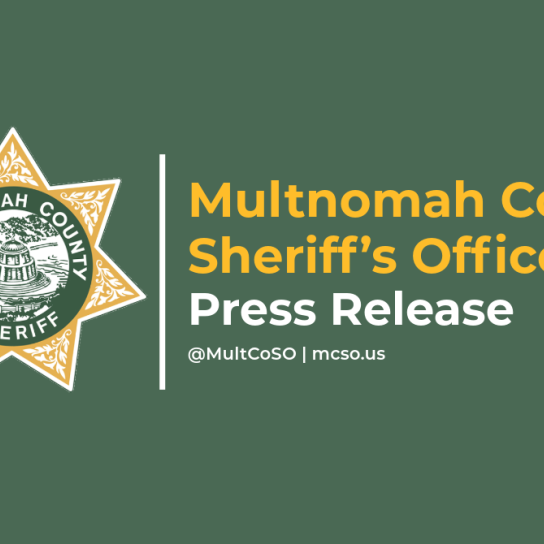 press release graphic with the sheriff's star