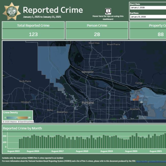 Crime data dashboard