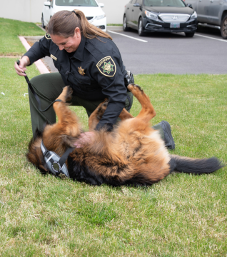 Burton rolled on his back as deputy pets his belly.