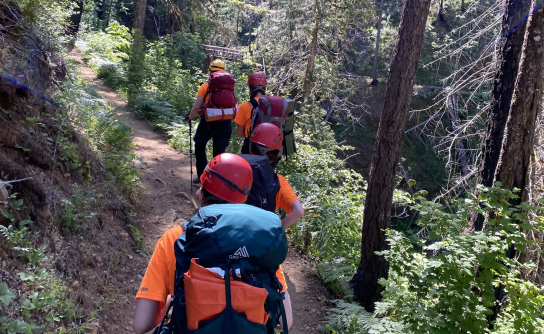 Four search and rescue volunteers hike up a trail in a wooded area.