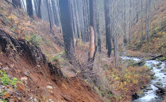 Photo of landslide on the Larch Mountain Trail