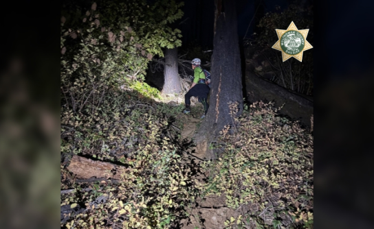 Green Hornets Response 2